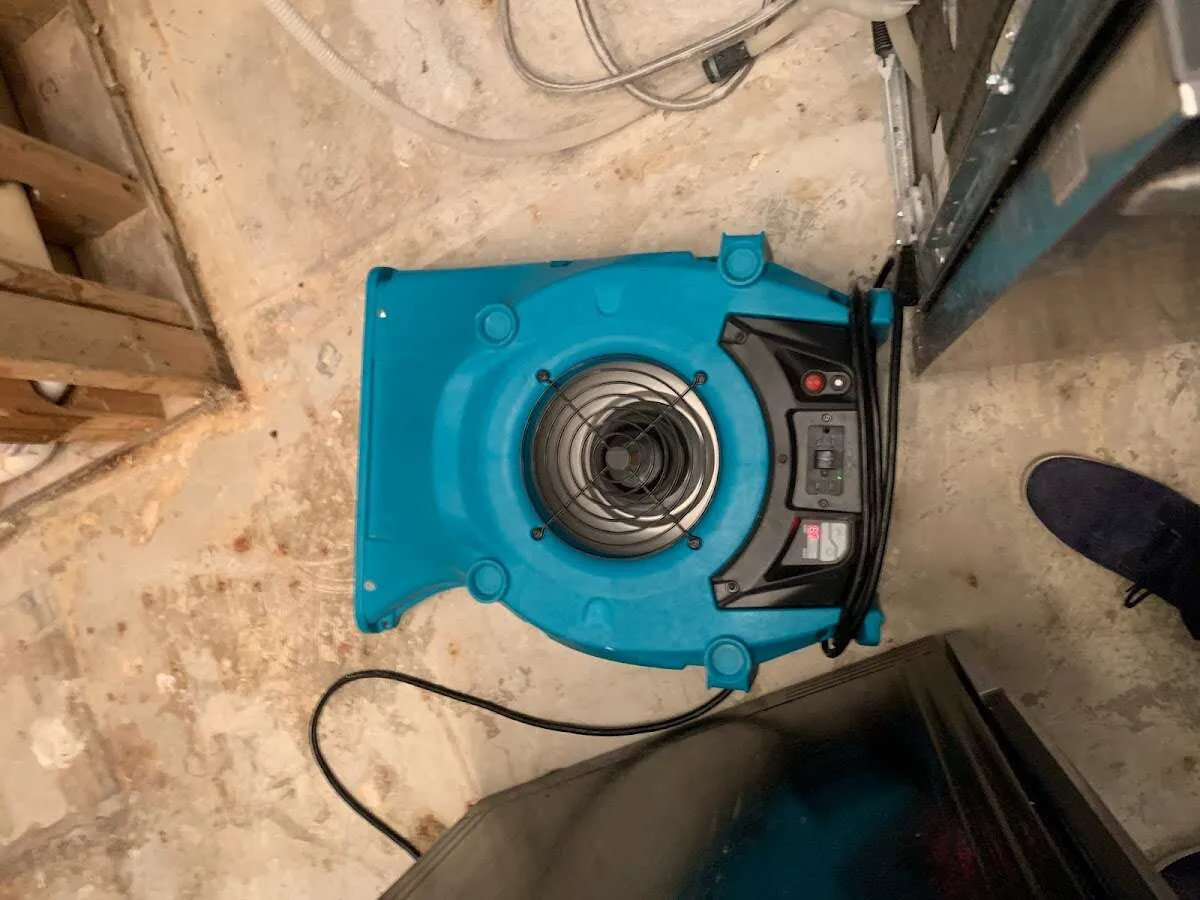 Air mover drying equipment for Mold Remediation & Removal in Rosamond